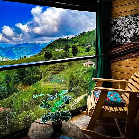 Golden Paws Guesthouse Catalca Екстер'єр фото